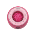 Chauffe-cire Pomme Rose Fille au Pluriel 500 ml